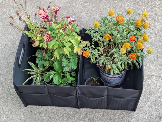 The organizer with several potted plants
