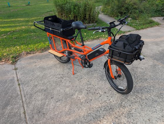 on the back of a Radwagon 4 ebike