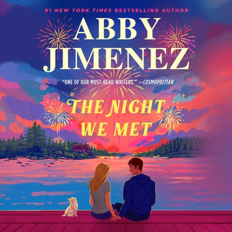 The Night We Met (Say You'll Remember Me #2)